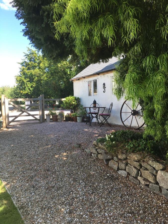 Cookshayes Country Guest House モルトンハムステッド エクステリア 写真