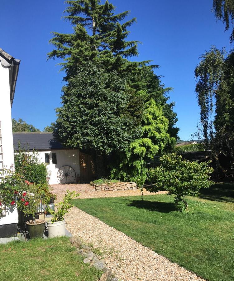 Cookshayes Country Guest House モルトンハムステッド エクステリア 写真