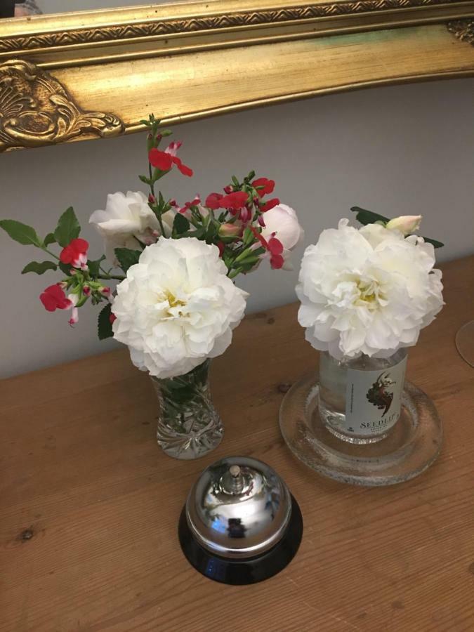 Cookshayes Country Guest House モルトンハムステッド エクステリア 写真